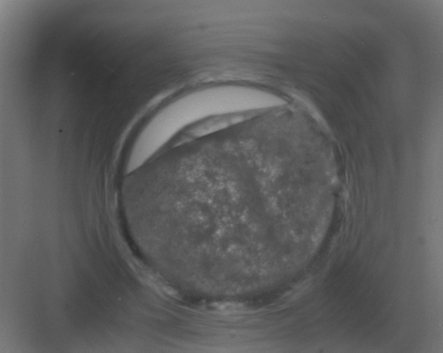 X0000081330395200702082207