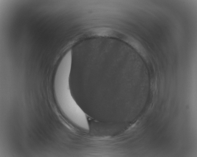 X0000081330397200702082207