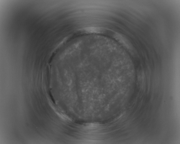 X0000081330398200702082207