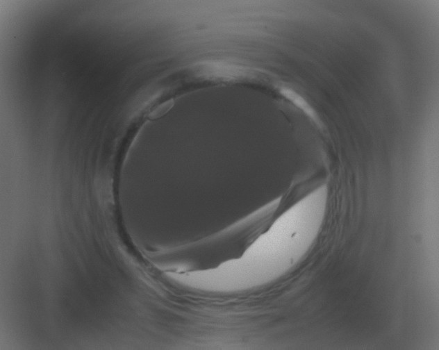 X0000081330399200702082207