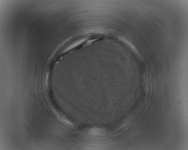 X0000081330400200702082207