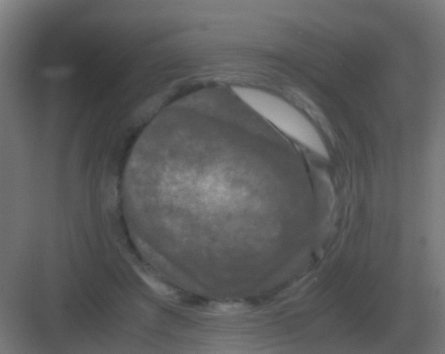 X0000081330401200702082207