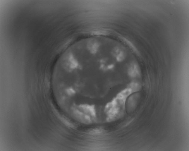 X0000081330402200702082207