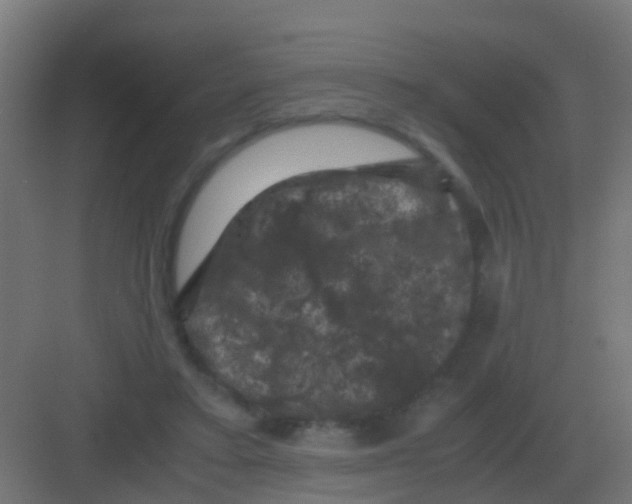 X0000081330403200702082207