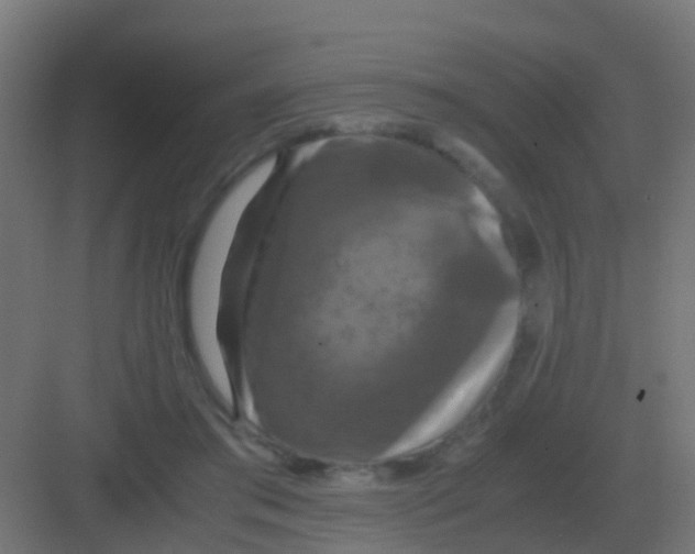 X0000081330405200702082207