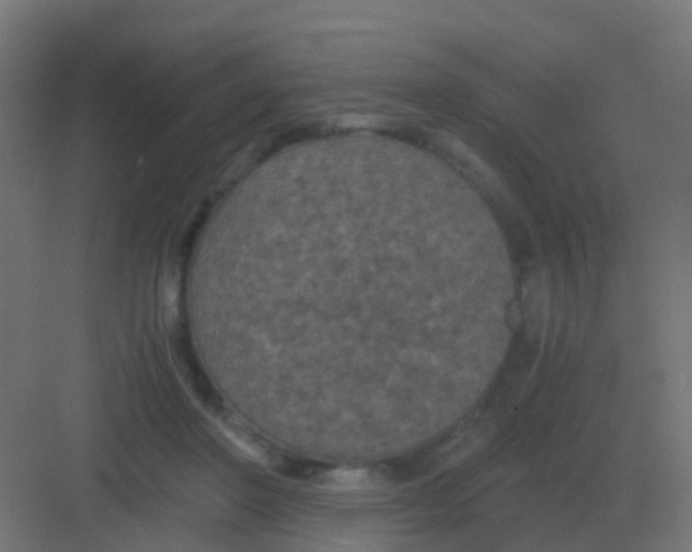 X0000081330406200702082207