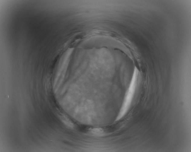 X0000081330409200702082207