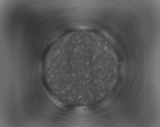 X0000081330410200702082207