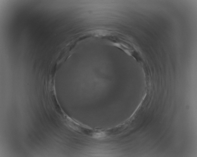 X0000081330411200702082207