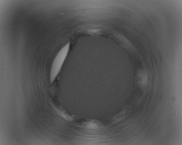 X0000081330412200702082207