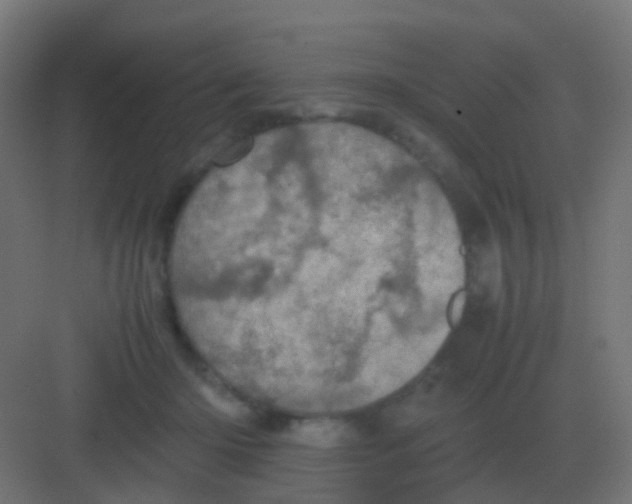 X0000081330414200702082207