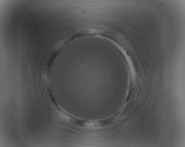 X0000081330415200702082207