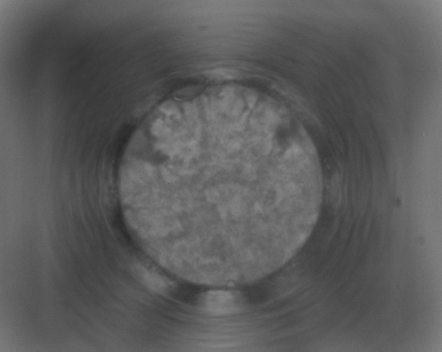 X0000081330418200702082207