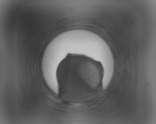 X0000081330419200702082207