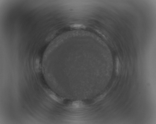 X0000081330420200702082207