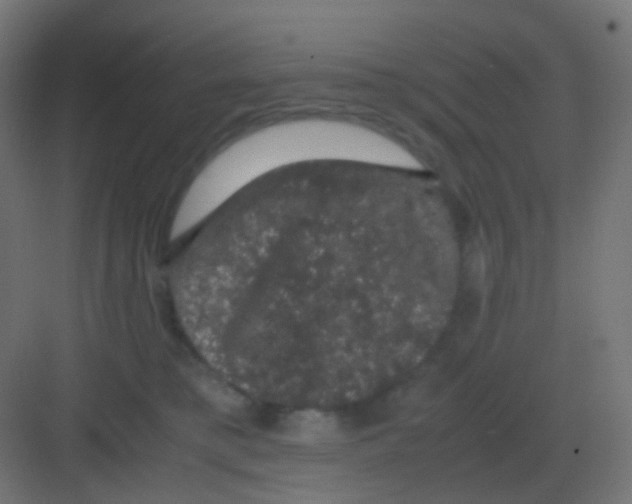 X0000081330421200702082207