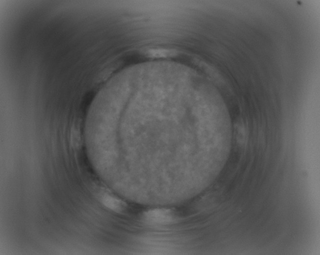 X0000081330422200702082207