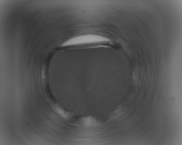 X0000081330424200702082207