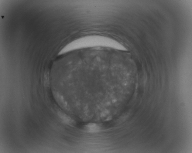 X0000081330425200702082207