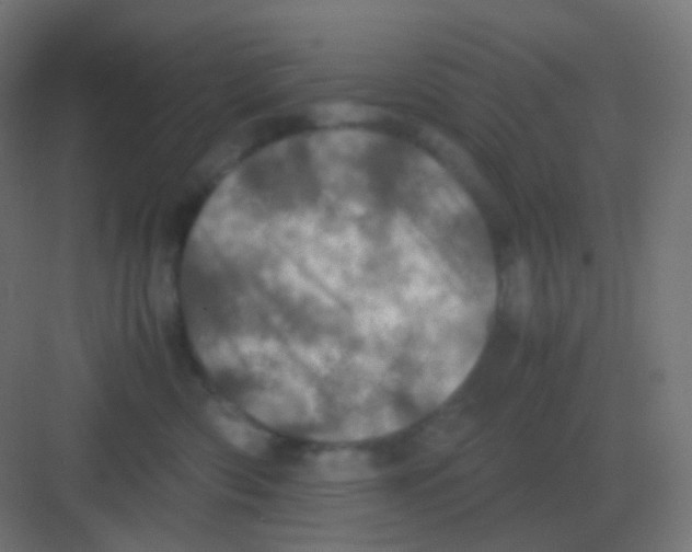 X0000081330426200702082207