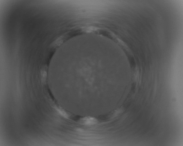 X0000081330427200702082207