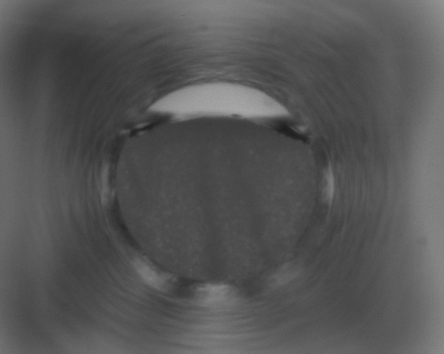 X0000081330428200702082207