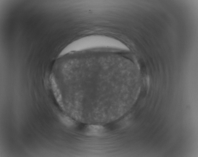 X0000081330429200702082207