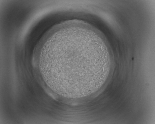 X0000081330431200702082207