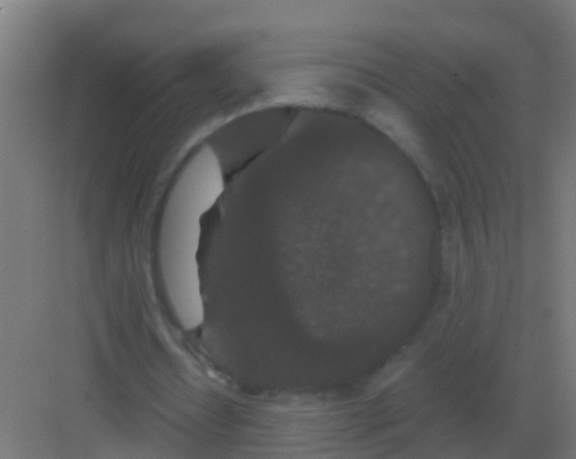 X0000081330434200702082206