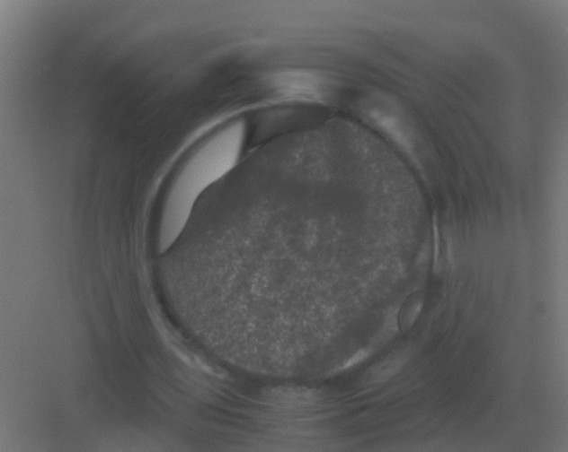 X0000081330435200702082206