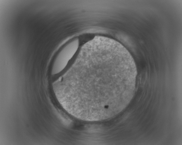 X0000081330436200702082206