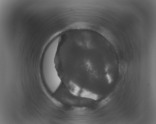 X0000081330438200702082206