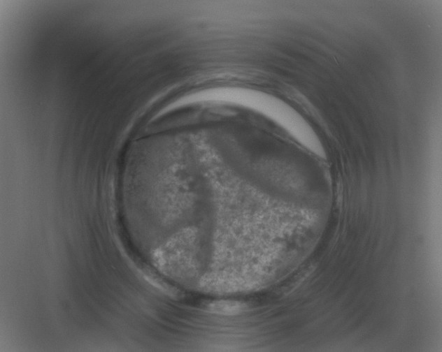 X0000081330444200702082206