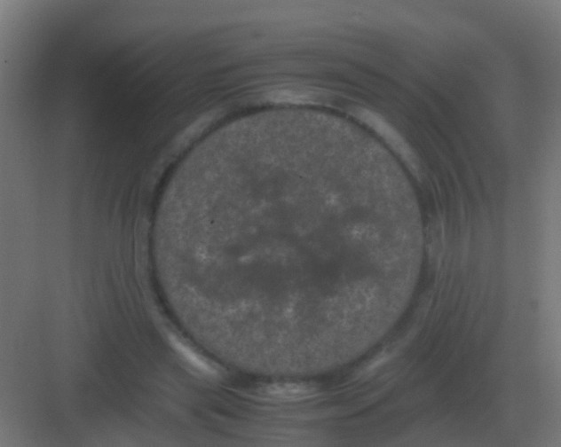 X0000081330445200702082206