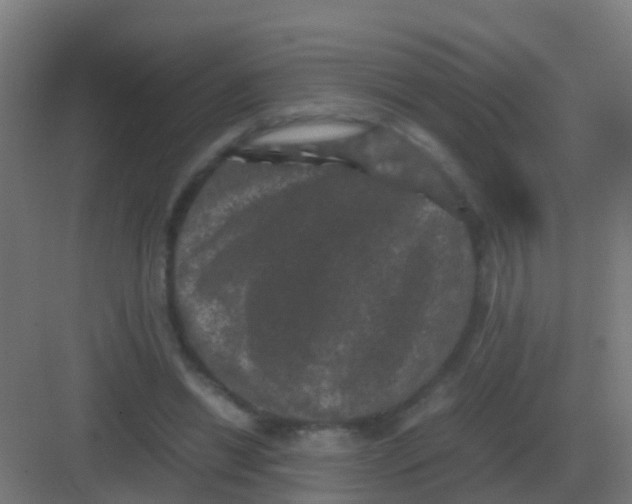 X0000081330446200702082206