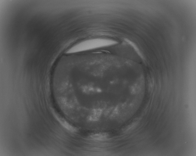 X0000081330447200702082206