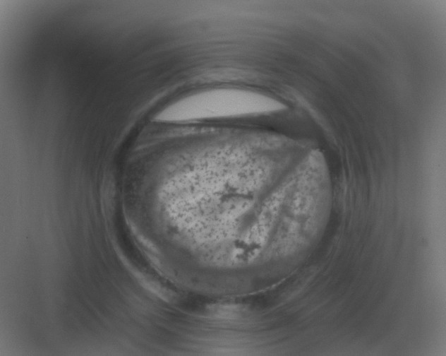 X0000081330448200702082206