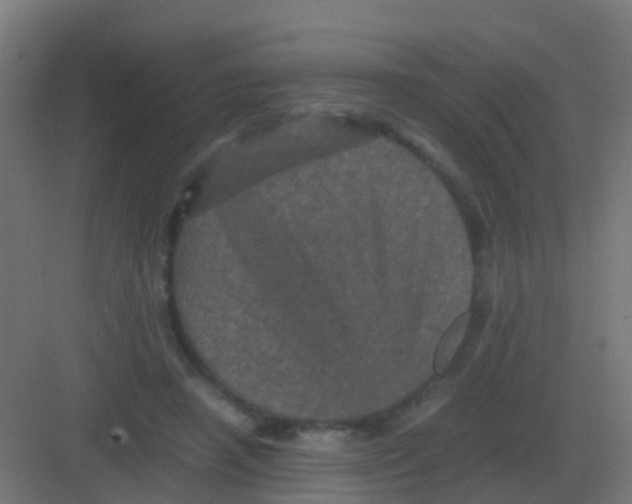 X0000081330450200702082206