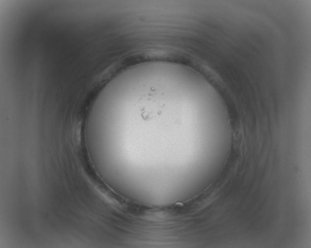 X0000081330454200702082206