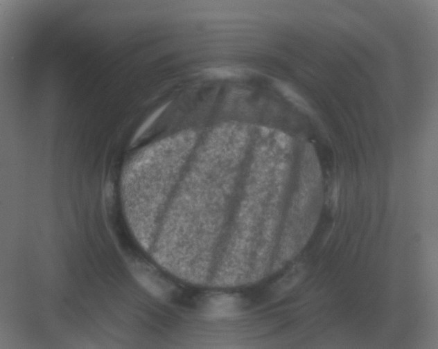 X0000081330456200702082206