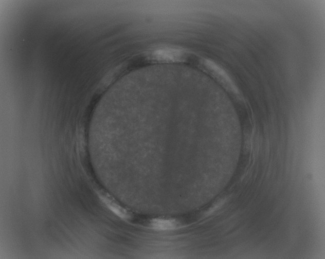 X0000081330457200702082206