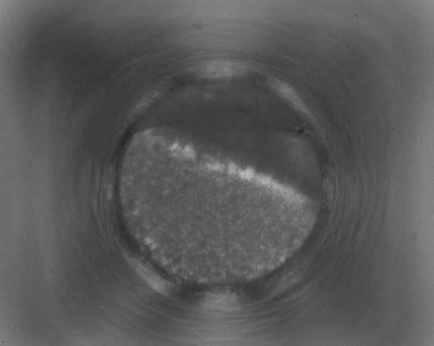 X0000081330458200702082206