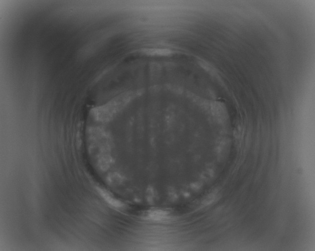 X0000081330462200702082207