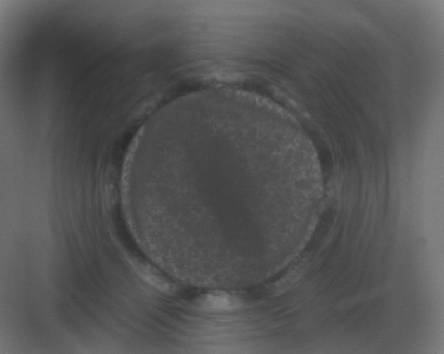 X0000081330464200702082207