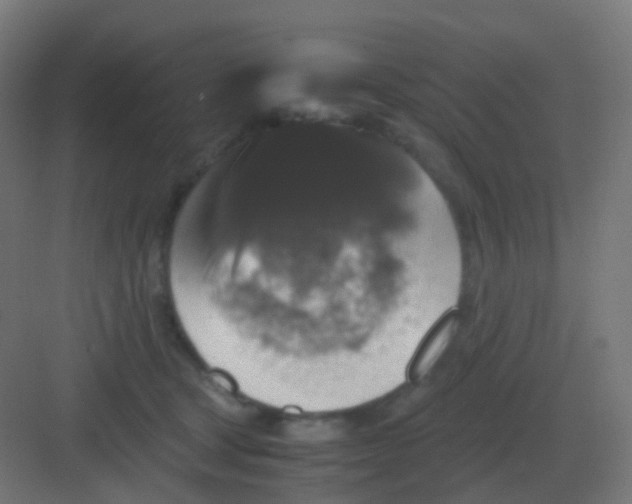 X0000081330465200702082207