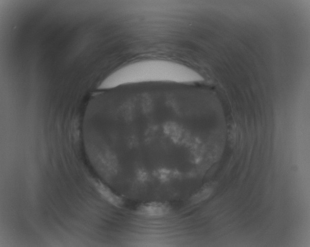 X0000081330466200702082207