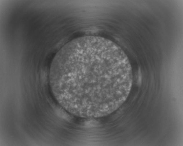 X0000081330468200702082207