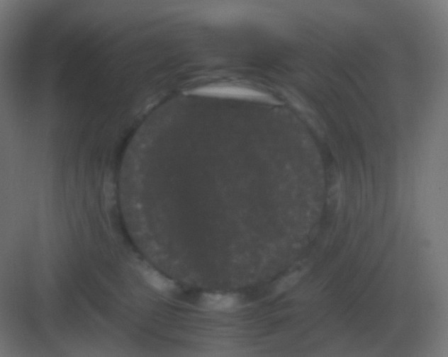 X0000081330469200702082207