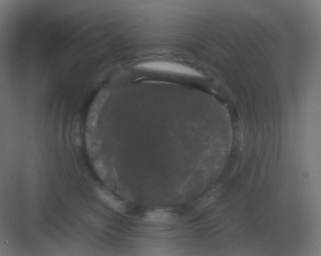 X0000081330470200702082207