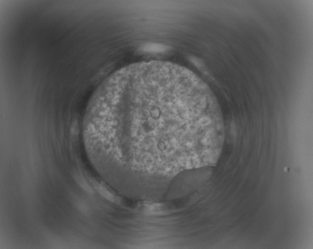 X0000081330472200702082207